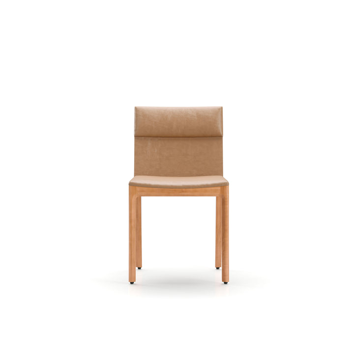 Taylor Dining Chair