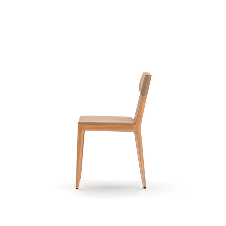 Taylor Dining Chair